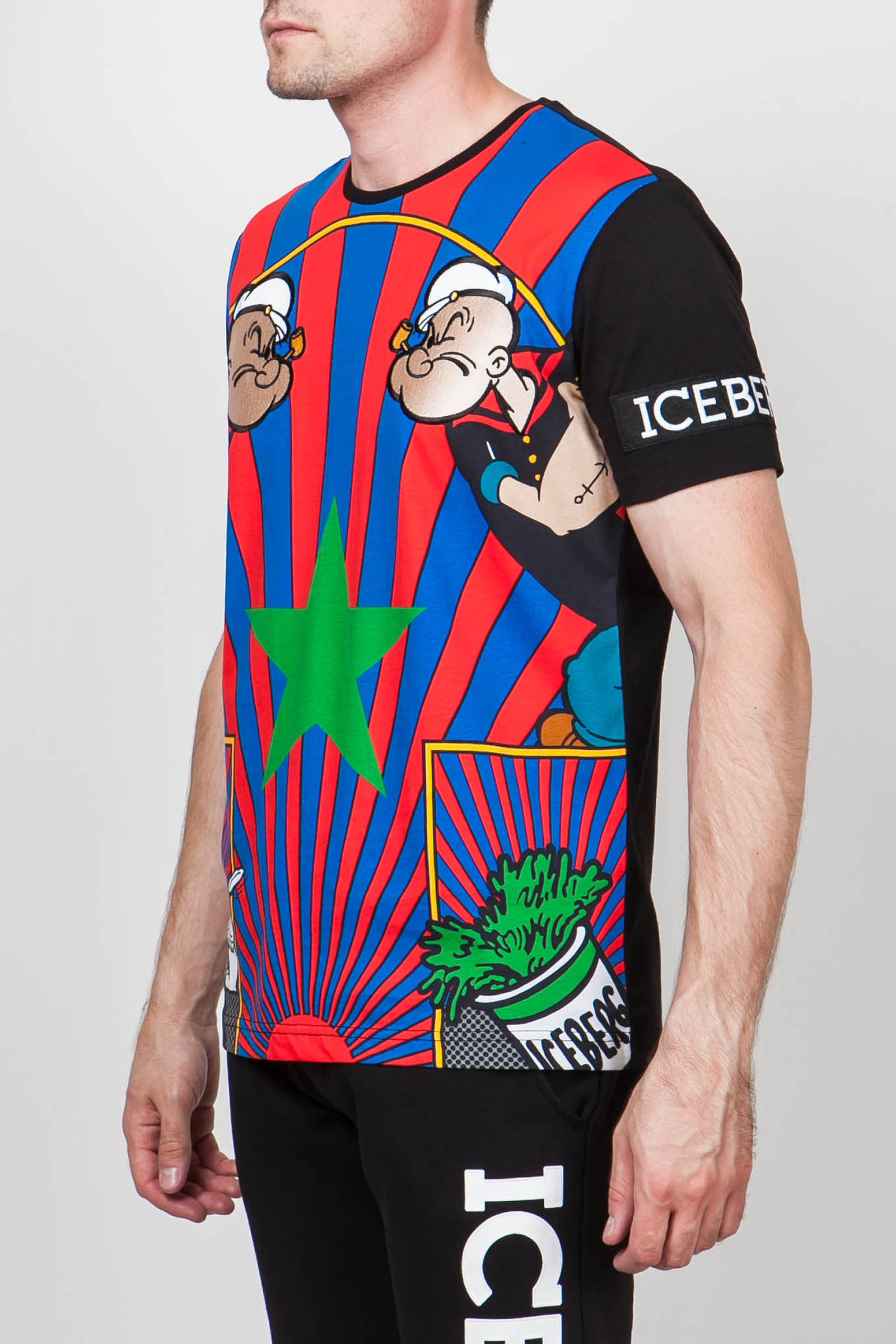  ICEBERG LS NET RU 