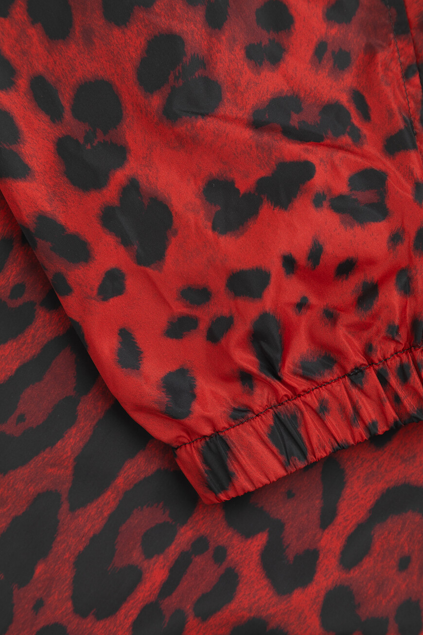 Куртка Dolce & Gabbana Из Коллекции Hot Animalier Вид№11