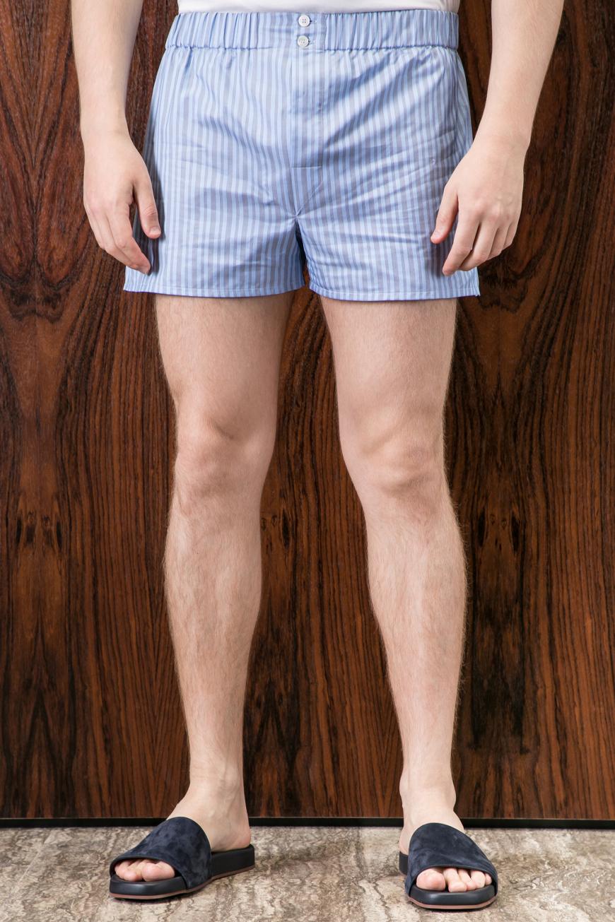 

Боксеры Brioni Из Рубашечной Ткани Серый/Голубой